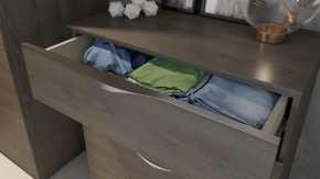 Комод Либерти ТД-297.04.02 в Ноябрьске - noyabrsk.mebel24.online | фото 4