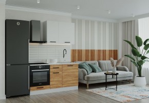 Кухонный гарнитур Лада 1600 (Стол. 38мм) в Ноябрьске - noyabrsk.mebel24.online | фото