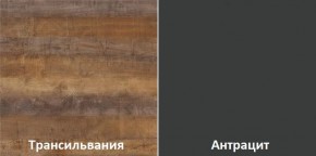 Кухонный гарнитур угловой Трансильвания 2400x1600 мм (Стол. 38 мм) Антрацит/Трансильвания в Ноябрьске - noyabrsk.mebel24.online | фото 3