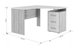 ЛАЙТ К4 Компьютерный стол в Ноябрьске - noyabrsk.mebel24.online | фото 6