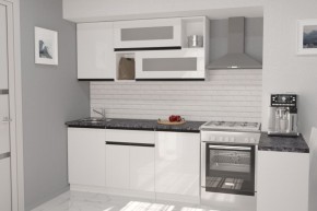 ЛОТОС Кухонный гарнитур Стандарт (1600 мм) в Ноябрьске - noyabrsk.mebel24.online | фото