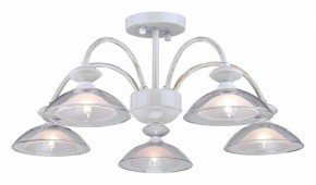 Люстра на штанге Arti Lampadari Noventa Noventa E 1.1.5 W в Ноябрьске - noyabrsk.mebel24.online | фото