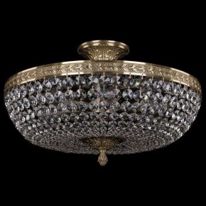 Люстра на штанге Bohemia Ivele Crystal 1911 19111/45IV Pa в Ноябрьске - noyabrsk.mebel24.online | фото 2