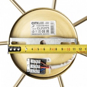 Люстра на штанге Citilux Tonga CL212173 в Ноябрьске - noyabrsk.mebel24.online | фото 9