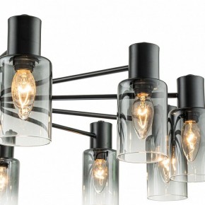 Люстра на штанге Escada Diversity 2120/12P Black в Ноябрьске - noyabrsk.mebel24.online | фото 6