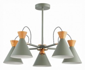 Люстра на штанге EVOLUCE Modica SLE125112-05 в Ноябрьске - noyabrsk.mebel24.online | фото 1