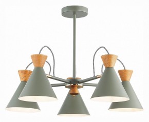 Люстра на штанге EVOLUCE Modica SLE125112-05 в Ноябрьске - noyabrsk.mebel24.online | фото 2