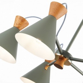 Люстра на штанге EVOLUCE Modica SLE125112-05 в Ноябрьске - noyabrsk.mebel24.online | фото 3