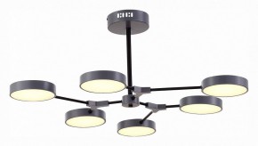 Люстра на штанге EVOLUCE Monta SLE6003-702-06 в Ноябрьске - noyabrsk.mebel24.online | фото 2