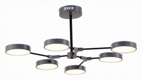Люстра на штанге EVOLUCE Monta SLE6003-702-06 в Ноябрьске - noyabrsk.mebel24.online | фото 4
