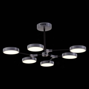 Люстра на штанге EVOLUCE Monta SLE6003-702-06 в Ноябрьске - noyabrsk.mebel24.online | фото 5