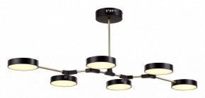 Люстра на штанге EVOLUCE Monta SLE6004-402-06 в Ноябрьске - noyabrsk.mebel24.online | фото 2