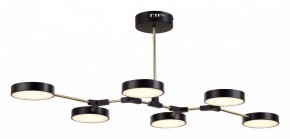 Люстра на штанге EVOLUCE Monta SLE6004-402-06 в Ноябрьске - noyabrsk.mebel24.online | фото 4