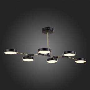 Люстра на штанге EVOLUCE Monta SLE6004-402-06 в Ноябрьске - noyabrsk.mebel24.online | фото 6