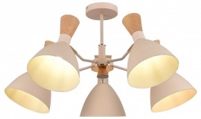 Люстра на штанге EVOLUCE VISTA SLE1256-502-05 в Ноябрьске - noyabrsk.mebel24.online | фото 6