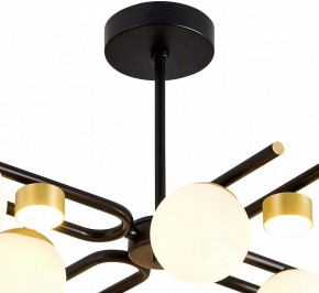 Люстра на штанге Favourite Soffiato 3048-8P в Ноябрьске - noyabrsk.mebel24.online | фото 4