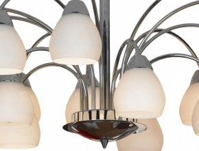 Люстра на штанге Lussole Apiro GRLSF-2403-15 в Ноябрьске - noyabrsk.mebel24.online | фото 12