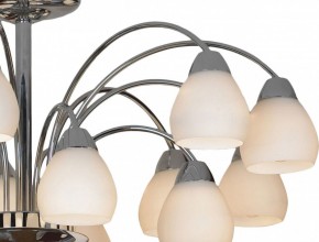 Люстра на штанге Lussole Apiro LSF-2403-15 в Ноябрьске - noyabrsk.mebel24.online | фото 3