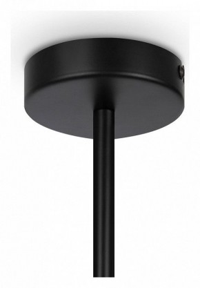 Люстра на штанге Maytoni Memory MOD177PL-04B в Ноябрьске - noyabrsk.mebel24.online | фото 4