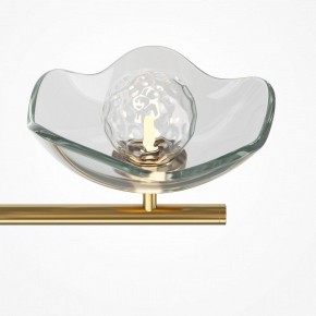 Люстра на штанге Maytoni Miracle MOD207PL-05BS в Ноябрьске - noyabrsk.mebel24.online | фото 5
