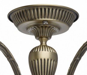 Люстра на штанге MW-Light Аманда 6 481011805 в Ноябрьске - noyabrsk.mebel24.online | фото 10