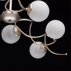 Люстра на штанге MW-Light Оливия 5 306012709 в Ноябрьске - noyabrsk.mebel24.online | фото 10
