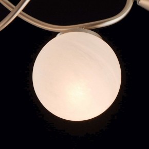 Люстра на штанге MW-Light Оливия 5 306012709 в Ноябрьске - noyabrsk.mebel24.online | фото 6