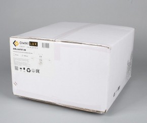 Люстра на штанге Omnilux Alghero OML-64707-09 в Ноябрьске - noyabrsk.mebel24.online | фото 5