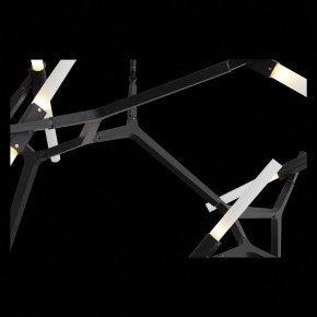 Люстра на штанге ST-Luce Laconicita SL947.402.20 в Ноябрьске - noyabrsk.mebel24.online | фото 12