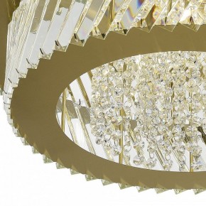Люстра на штанге ST-Luce RITZ SL6138.313.12 в Ноябрьске - noyabrsk.mebel24.online | фото 5