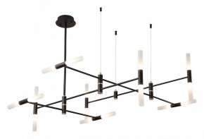 Люстра на штанге ST-Luce  SL1216.403.16 в Ноябрьске - noyabrsk.mebel24.online | фото 2