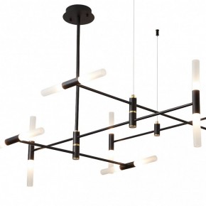 Люстра на штанге ST-Luce  SL1216.403.16 в Ноябрьске - noyabrsk.mebel24.online | фото 3