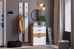 МЕБЕЛЬСОН К21 Прихожая в Ноябрьске - noyabrsk.mebel24.online | фото