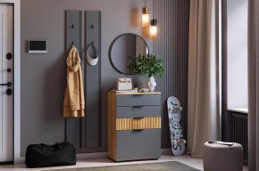 МЕБЕЛЬСОН К21 Прихожая  (графит) в Ноябрьске - noyabrsk.mebel24.online | фото