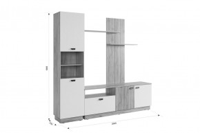 МОДИ Гостиная (модульная) белое дерево в Ноябрьске - noyabrsk.mebel24.online | фото 2