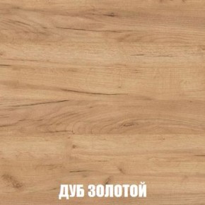 МСП-1 Шкаф 2-х створчатый (Дуб Золотой/Камень темный) в Ноябрьске - noyabrsk.mebel24.online | фото 4