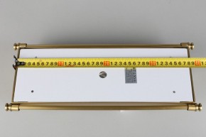 Накладной светильник Aployt Zoe APL.806.01.02 в Ноябрьске - noyabrsk.mebel24.online | фото 9