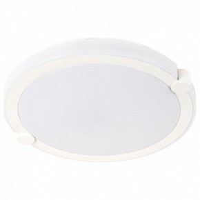 Накладной светильник Arte Lamp Biscotti A2679PL-72WH в Ноябрьске - noyabrsk.mebel24.online | фото