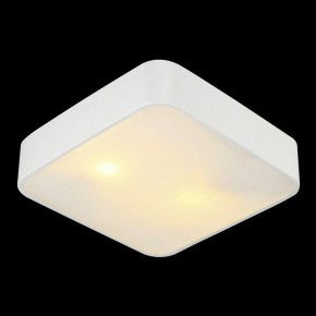Накладной светильник Arte Lamp Cosmopolitan A7210PL-2WH в Ноябрьске - noyabrsk.mebel24.online | фото 2