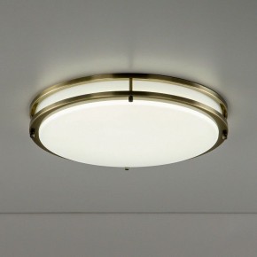 Накладной светильник Citilux Бостон CL709503N в Ноябрьске - noyabrsk.mebel24.online | фото 6