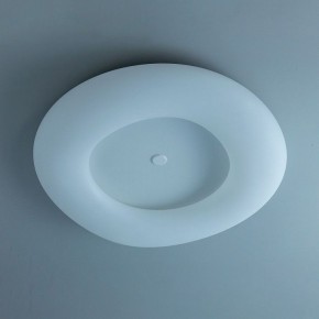 Накладной светильник Citilux Стратус Смарт CL732A800G в Ноябрьске - noyabrsk.mebel24.online | фото 10