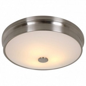 Накладной светильник Favourite Pannikin 2691-3C в Ноябрьске - noyabrsk.mebel24.online | фото 2
