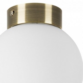 Накладной светильник Lightstar Globo 812011 в Ноябрьске - noyabrsk.mebel24.online | фото 3