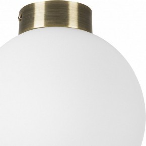 Накладной светильник Lightstar Globo 812021 в Ноябрьске - noyabrsk.mebel24.online | фото 3