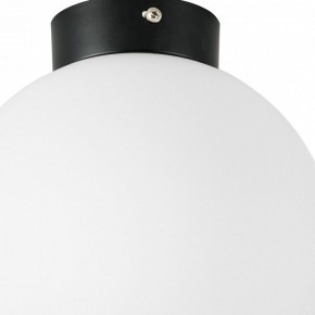 Накладной светильник Lightstar Globo 812027 в Ноябрьске - noyabrsk.mebel24.online | фото 2