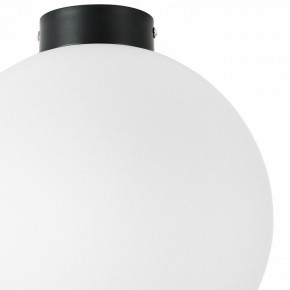 Накладной светильник Lightstar Globo 812037 в Ноябрьске - noyabrsk.mebel24.online | фото 3
