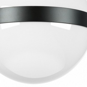 Накладной светильник Lightstar Globo 812117 в Ноябрьске - noyabrsk.mebel24.online | фото 3