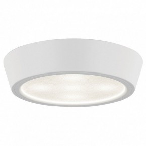 Накладной светильник Lightstar Urbano 214902 в Ноябрьске - noyabrsk.mebel24.online | фото