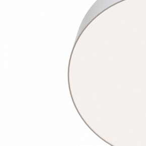 Накладной светильник Maytoni Zon C032CL-L96W4K в Ноябрьске - noyabrsk.mebel24.online | фото