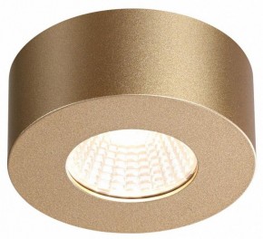 Накладной светильник Odeon Light Bene 4284/7CL в Ноябрьске - noyabrsk.mebel24.online | фото 4